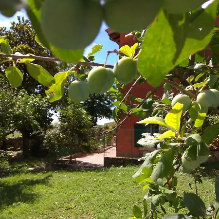 Corte Clocego 3* فيرونا