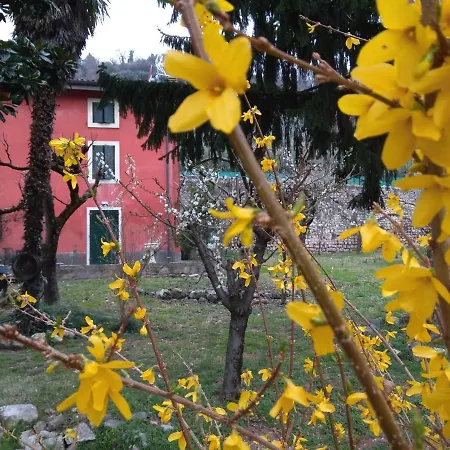 Corte Clocego فيرونا