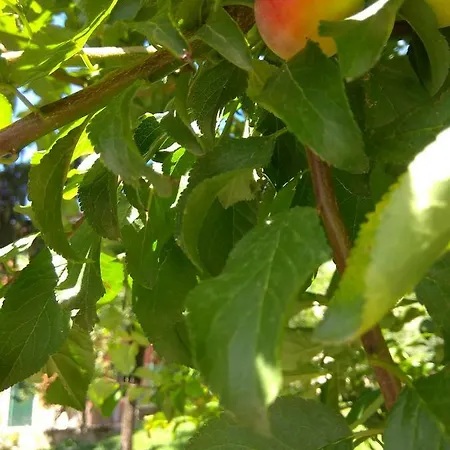 Pensjonat Corte Clocego