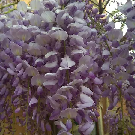 Corte Clocego Pensjonat 3*