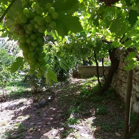 Corte Clocego Casa de hóspedes 3*